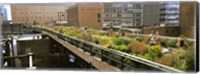 Tourists in an elevated park, High Line, Manhattan, New York City, New York State, USA Fine Art Print