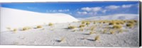 White Sands and Blue Sky, New Mexico Fine Art Print