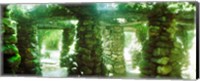 Stone canopy in the botanical garden, Jardim Botanico, Zona Sul, Rio de Janeiro, Brazil Fine Art Print