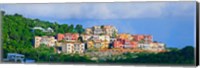 Villas on a hill, Cruz Bay, St. John, US Virgin Islands Fine Art Print