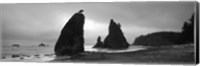 Silhouette of seastacks at sunset, Olympic National Park, Washington State (black and white) Fine Art Print