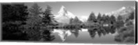 Reflection of trees and mountain in a lake, Matterhorn, Switzerland (black and white) Fine Art Print