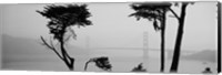 Golden Gate Bridge Through the Fog (black & white) Fine Art Print
