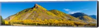 Aspen trees on mountain, Anvil Mountain, Million Dollar Highway, Silverton, Colorado, USA Fine Art Print