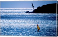 Windsurfer in the sea, Sint Maarten, Netherlands Antilles Fine Art Print