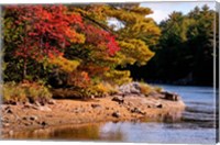 Autumn Trees, Musquash River, Muskoka, Ontario, Canada Fine Art Print