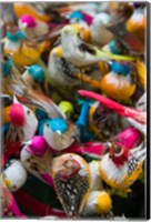 Artificial birds for sale at a market stall, Yuen Po Street Bird Garden, Mong Kok, Kowloon, Hong Kong Fine Art Print