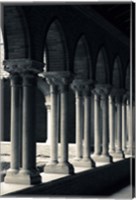 Cloister of a church, Cloitre des Jacobins, Eglise des Jacobins, Toulouse, Haute-Garonne, Midi-Pyrenees, France Fine Art Print