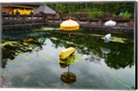 Covered stones with umbrella in ritual pool at holy spring temple, Tirta Empul Temple, Tampaksiring, Bali, Indonesia Fine Art Print