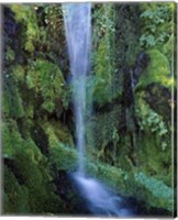 Wheeler Creek Waterfall on Dutton Ridge, Crater Lake National Park, Oregon, USA Fine Art Print