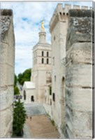 Church in a city, Cathedrale Notre-Dame des Doms d'Avignon, Palais des Papes, Provence-Alpes-Cote d'Azur, France Fine Art Print