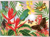 Butterflies and Red Christmas Heliconia Fine Art Print