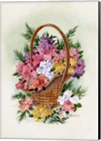 Basket Of Phlox Fine Art Print