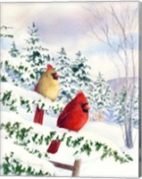 Cedar Farms Cardinals I Fine Art Print