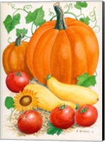 Pumpkins, Tomatoes and Squash Fine Art Print