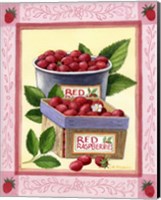 Red Raspberries Fine Art Print