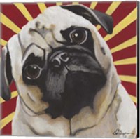 Dlynn's Dogs - Puggins Fine Art Print