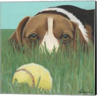 Dlynn's Dogs - Sunny Fine Art Print