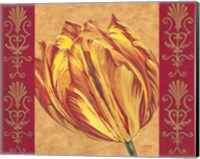 Tulip Power I Fine Art Print