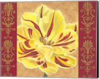 Tulip Power II Fine Art Print