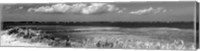 Shore Panorama VII Fine Art Print