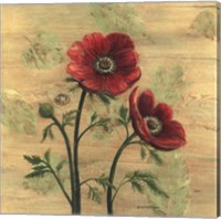 Anemone on Wood Fine Art Print