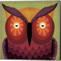Owl WOW Fine Art Print