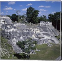 Tikal Mayan Guatemala Fine Art Print