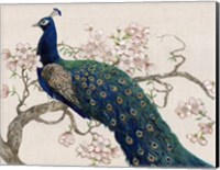 Peacock & Blossoms II Fine Art Print