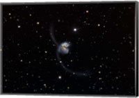 Antennae (NGC 4038 and 4039), interacting pair of galaxies in Corvus Fine Art Print