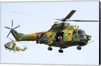 Romanian Air Force IAR-330L SOCAT helicopters Fine Art Print