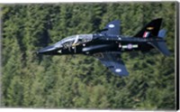 A Hawk T1 trainer aircraft of the Royal Air Force flying over a forest in North Wales Fine Art Print