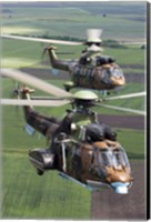 Pair of Bulgarian Air Force Eurocopter AS532 AL Cougar helicopters Fine Art Print