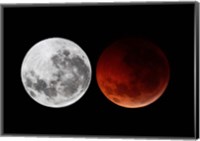 A composite showing the moon before the eclipse and during totality phase Fine Art Print