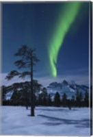 Moonlight and aurora over Nova Mountain Wilderness, Norway Fine Art Print