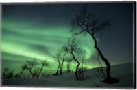 Northern Lights in the arctic wilderness, Nordland, Norway Fine Art Print