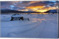 A winter sunset over Tjeldsundet at Evenskjer, Troms County, Norway Fine Art Print