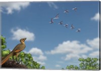 An Archaeopteryx observing a flock of migrating pterosaurs Fine Art Print