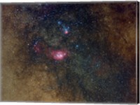 Widefield view of nebulae in Sagittarius Fine Art Print