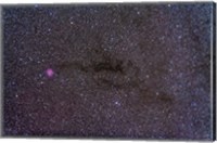 The Cocoon Nebula in the constellation Cygnus Fine Art Print