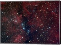 NGC 6914, reflection nebula in Cygnus Fine Art Print