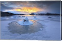 A frozen fjord that is part of Tjeldsundet in Troms County, Norway Fine Art Print