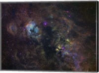 Widefield image of narrowband emission in Cygnus Fine Art Print