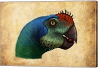 Oviraptor head detail Fine Art Print