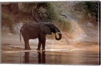 Elephant at Water Hole, South Africa Fine Art Print
