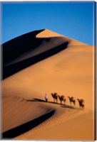 Camel Caravan with Sand Dune, Silk Road, China Fine Art Print