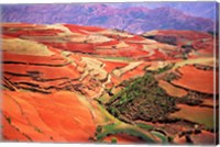 China, Yunnan, Tilled Red Laterite, Agriculture Fine Art Print