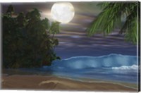 Moonlight shines down on the beach during the night of a full moon Fine Art Print