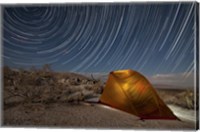 Star trails above a campsite in Anza Borrego Desert State Park, California Fine Art Print