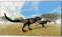 Two Tyrannosaurus Rex dinosaurs are on the hunt for prey Fine Art Print